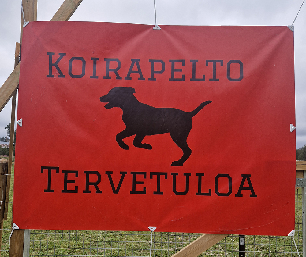 1000036958_pienennetty_1