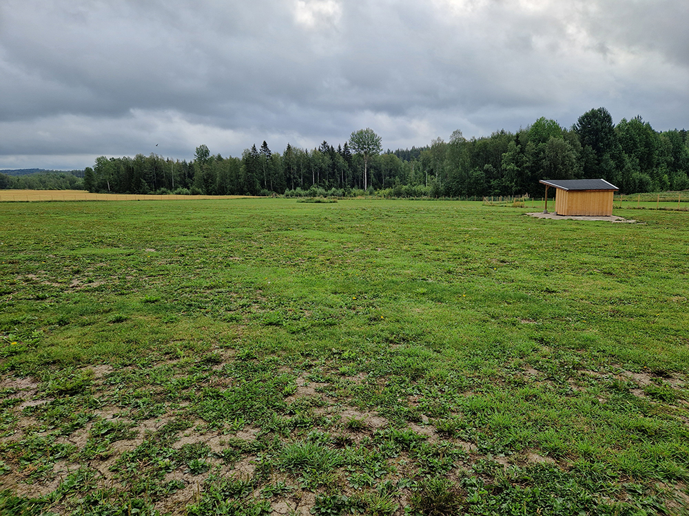 1000036964_pienennetty